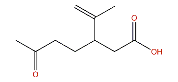 3-Isopropenyl-6-oxoheptanoic acid